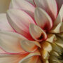 11_foto_1280x850