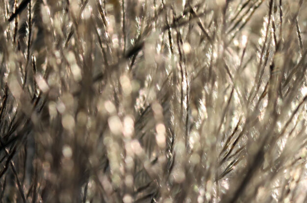 Psykoterapi i Svendborg